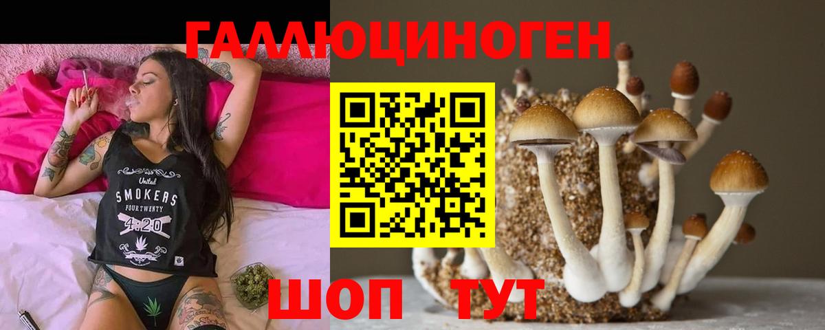 Ивантеевка  Псилоцибиновые грибы Psilocybe  Вход с VPN  Галлюциногенные грибы Psilocybine cubensis 